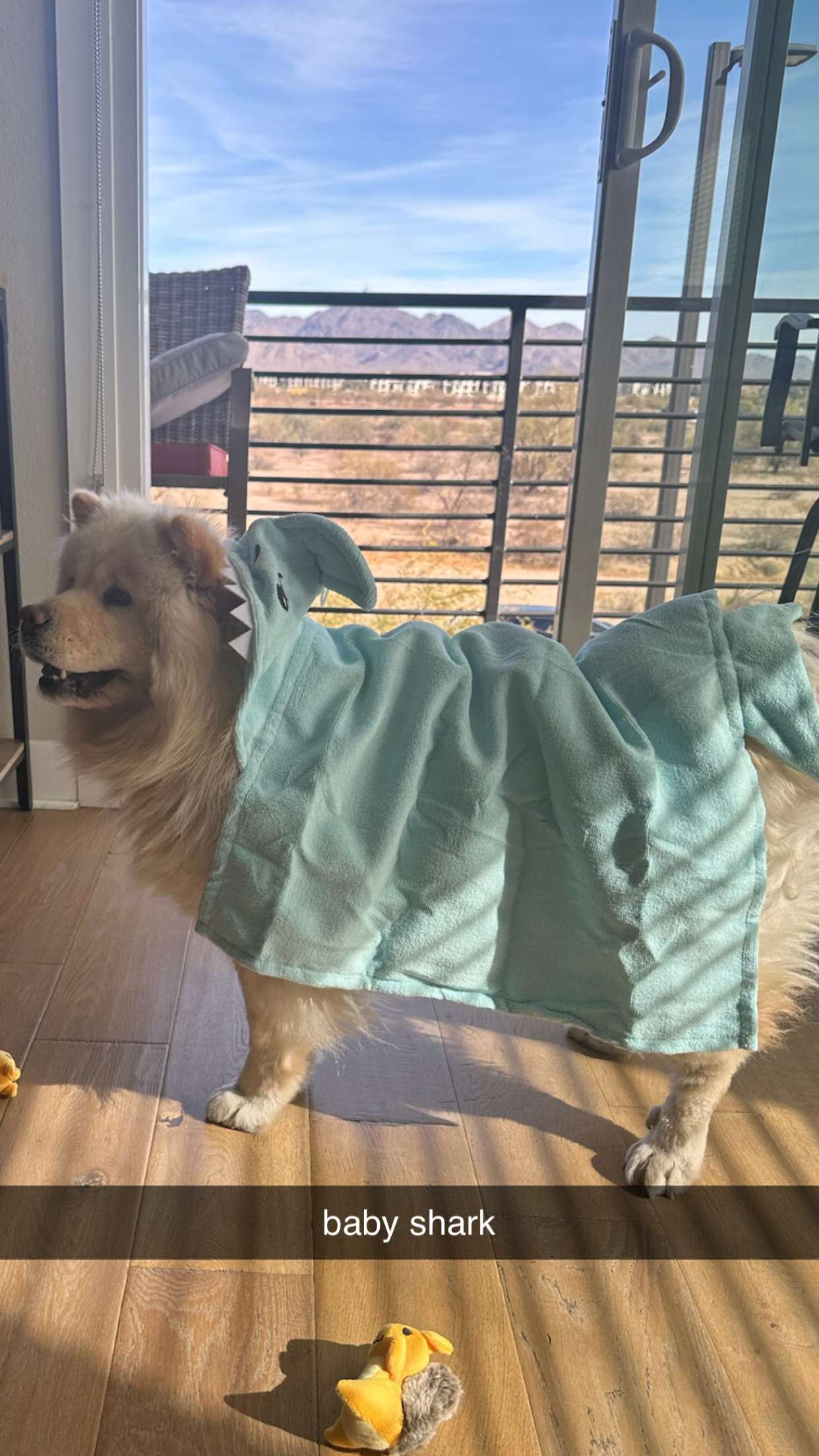 chloerosenbaum snapchat image archive image