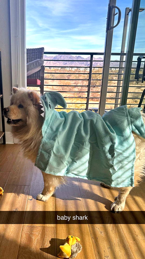 chloerosenbaum image ~ Altpins