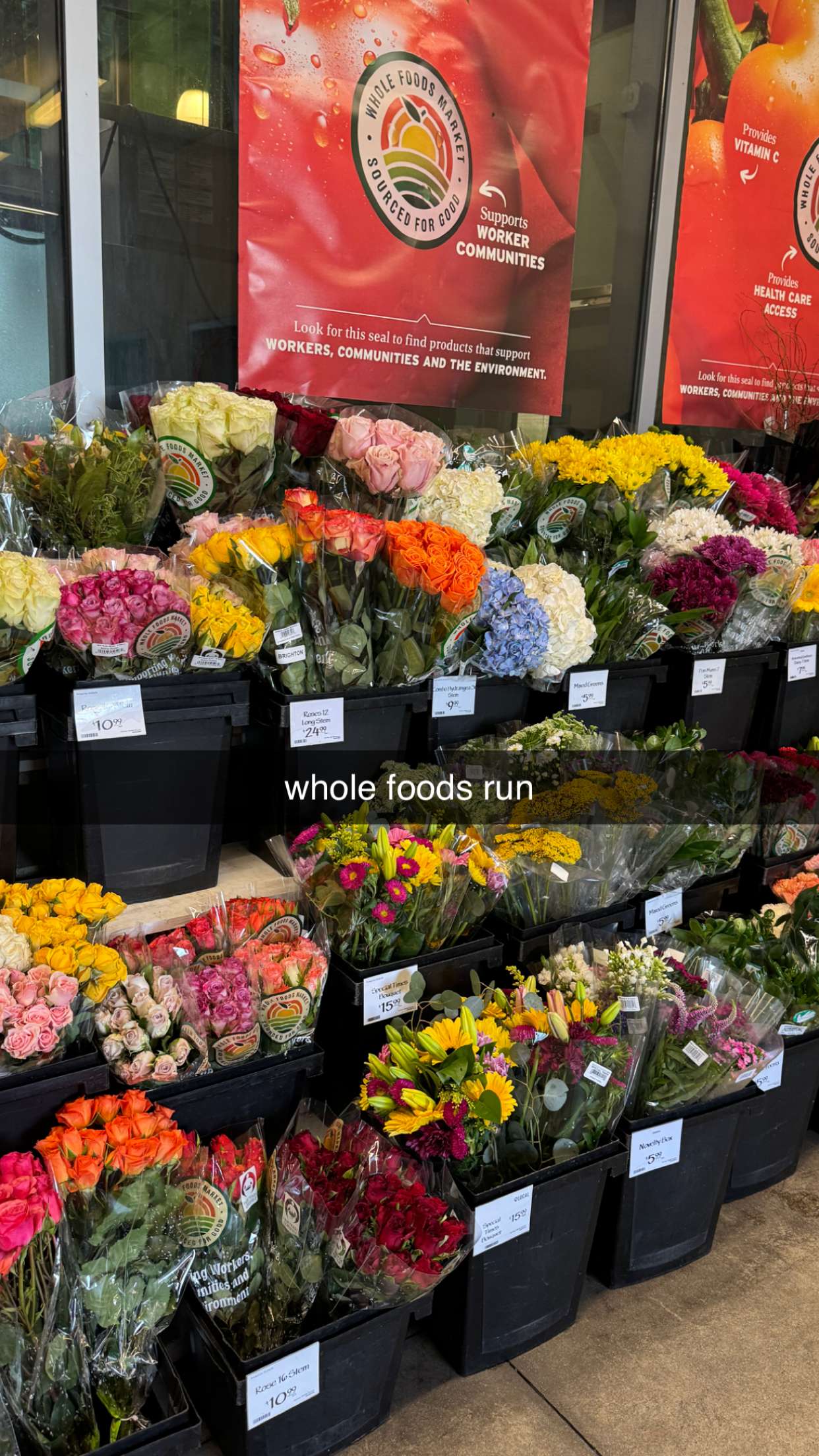 chloerosenbaum snapchat image archive image