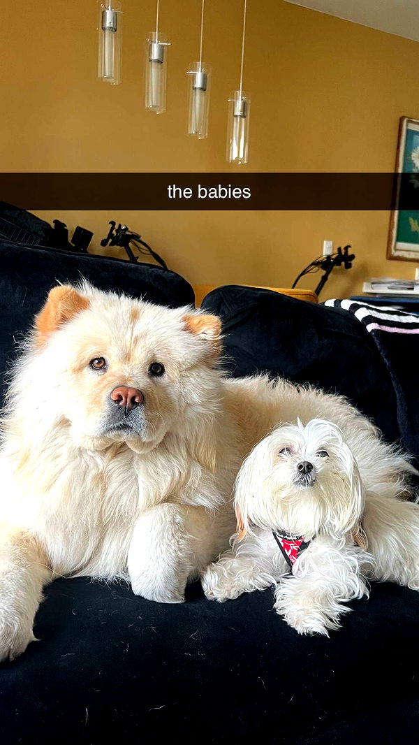 chloerosenbaum image ~ Altpins