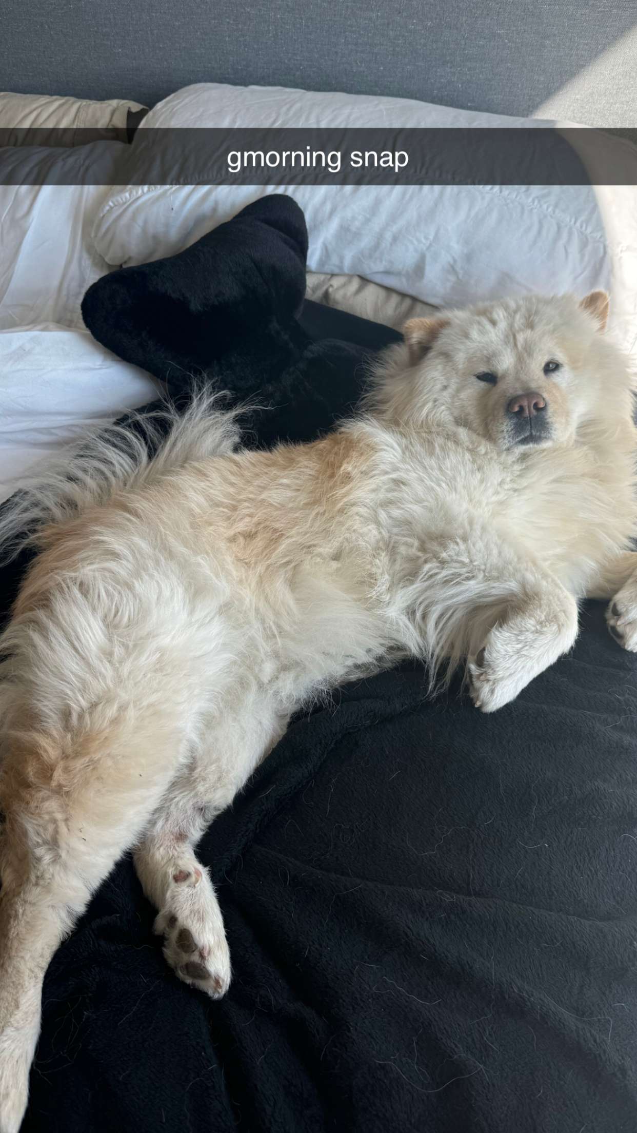 chloerosenbaum snapchat image archive image