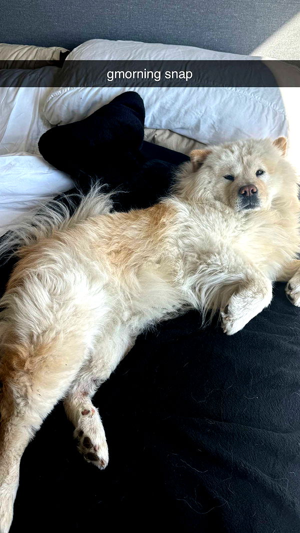 chloerosenbaum image ~ Altpins