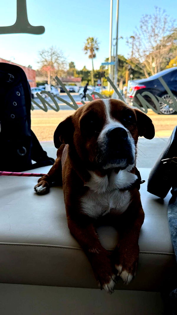 chloerosenbaum image ~ Altpins