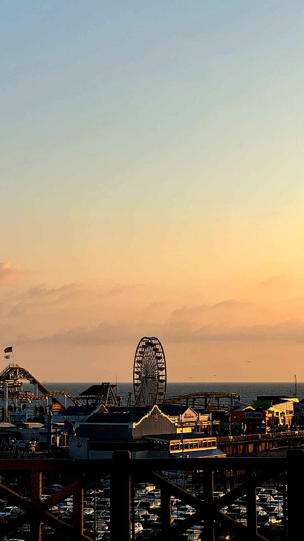 chloerosenbaum image ~ Altpins