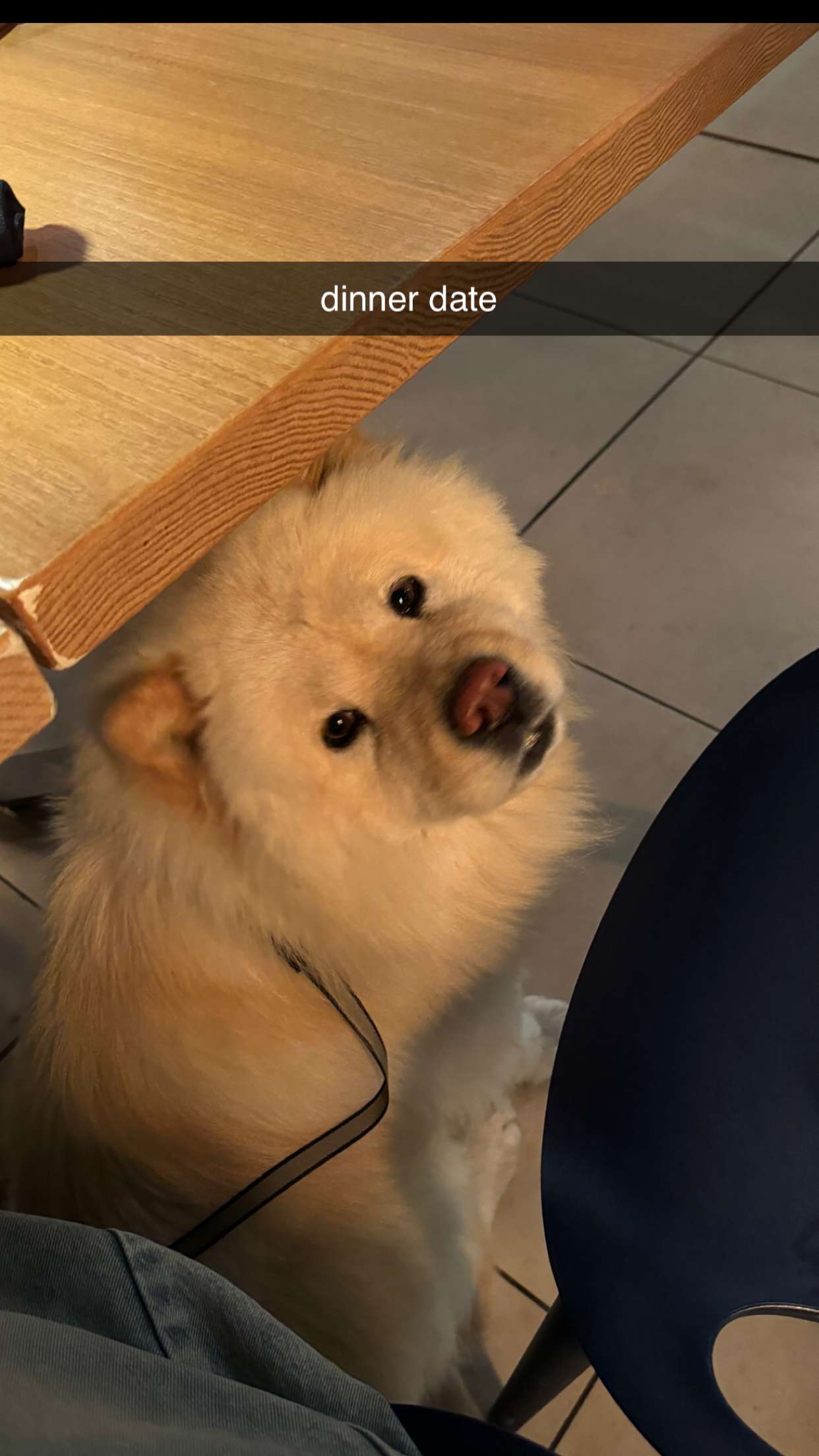 chloerosenbaum snapchat image archive image