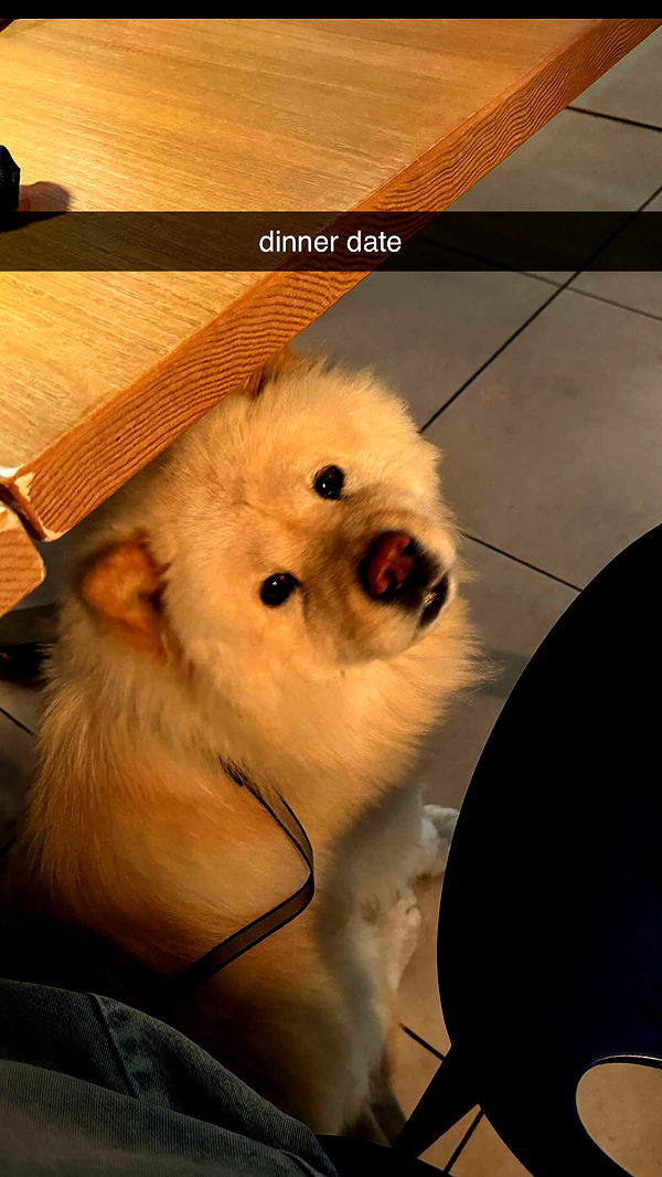 chloerosenbaum image ~ Altpins