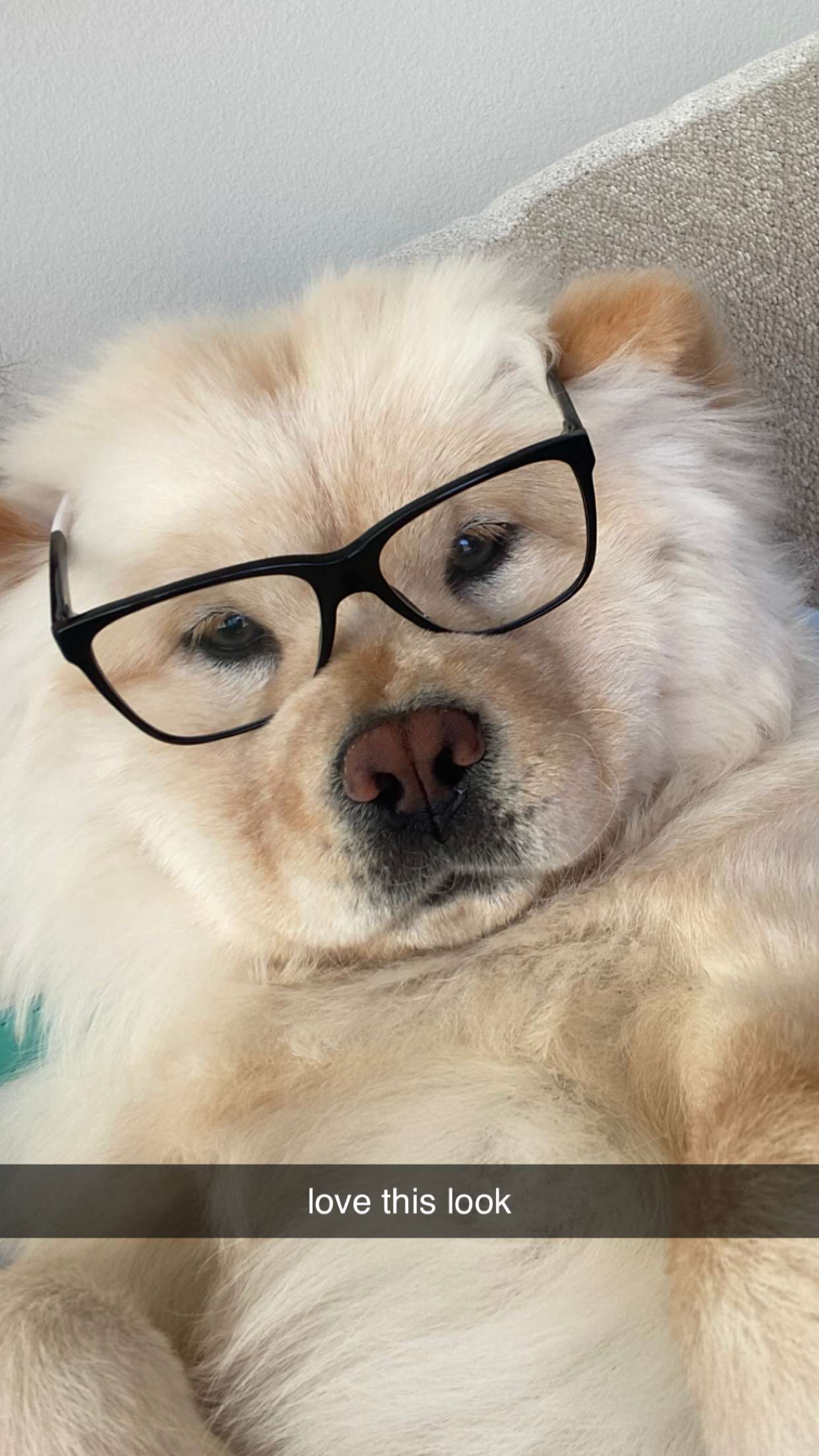 chloerosenbaum snapchat image archive image