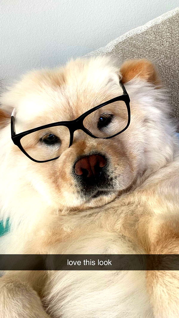 chloerosenbaum image ~ Altpins