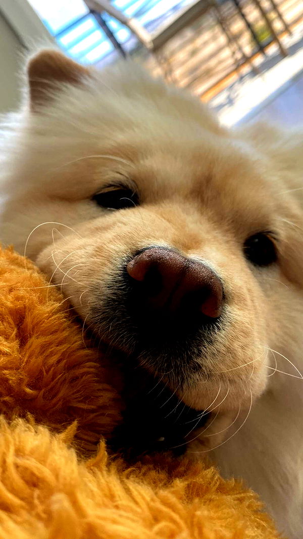 chloerosenbaum image ~ Altpins