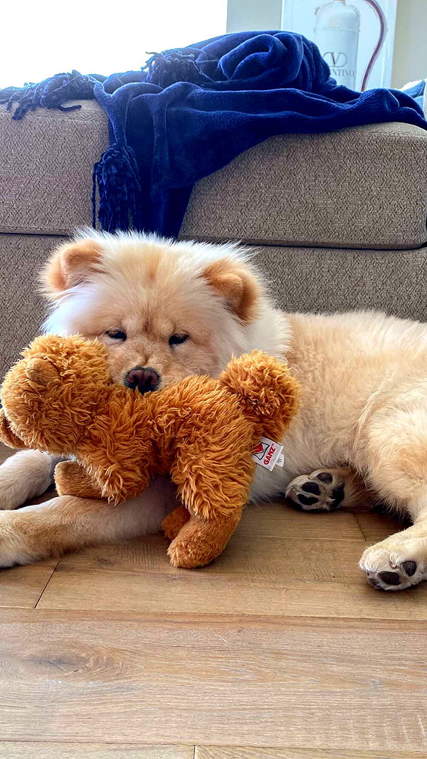 chloerosenbaum image ~ Altpins