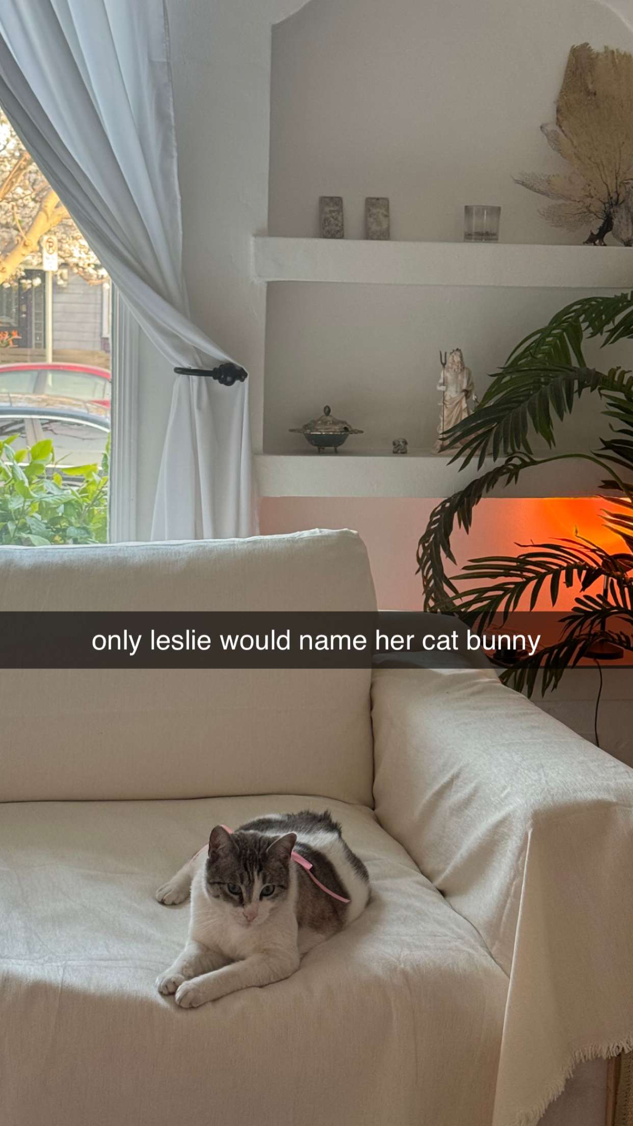 chloerosenbaum snapchat image archive image