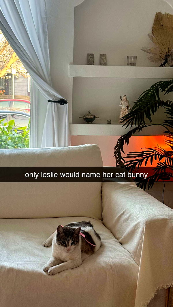 chloerosenbaum image ~ Altpins