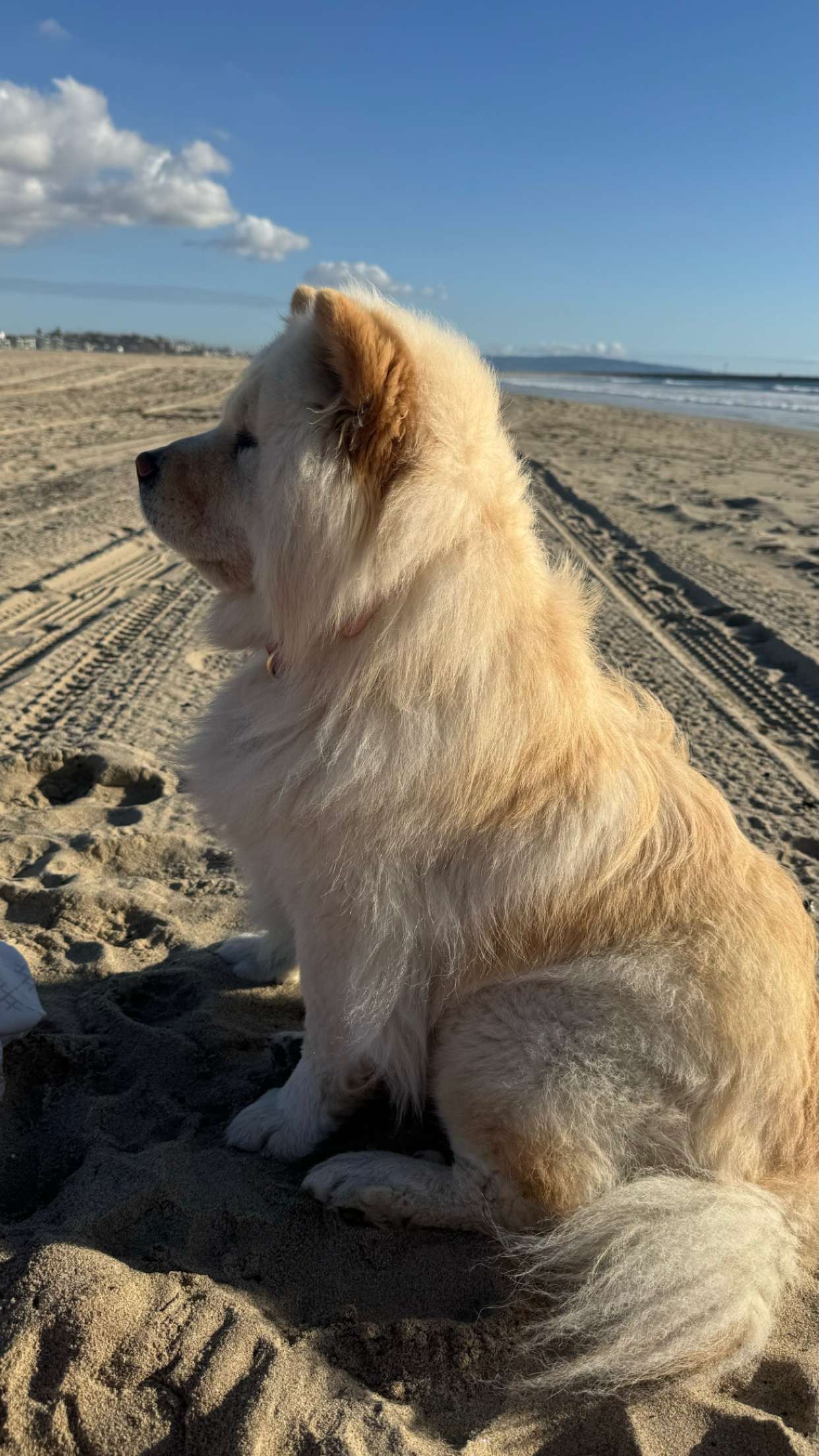 chloerosenbaum snapchat image archive image