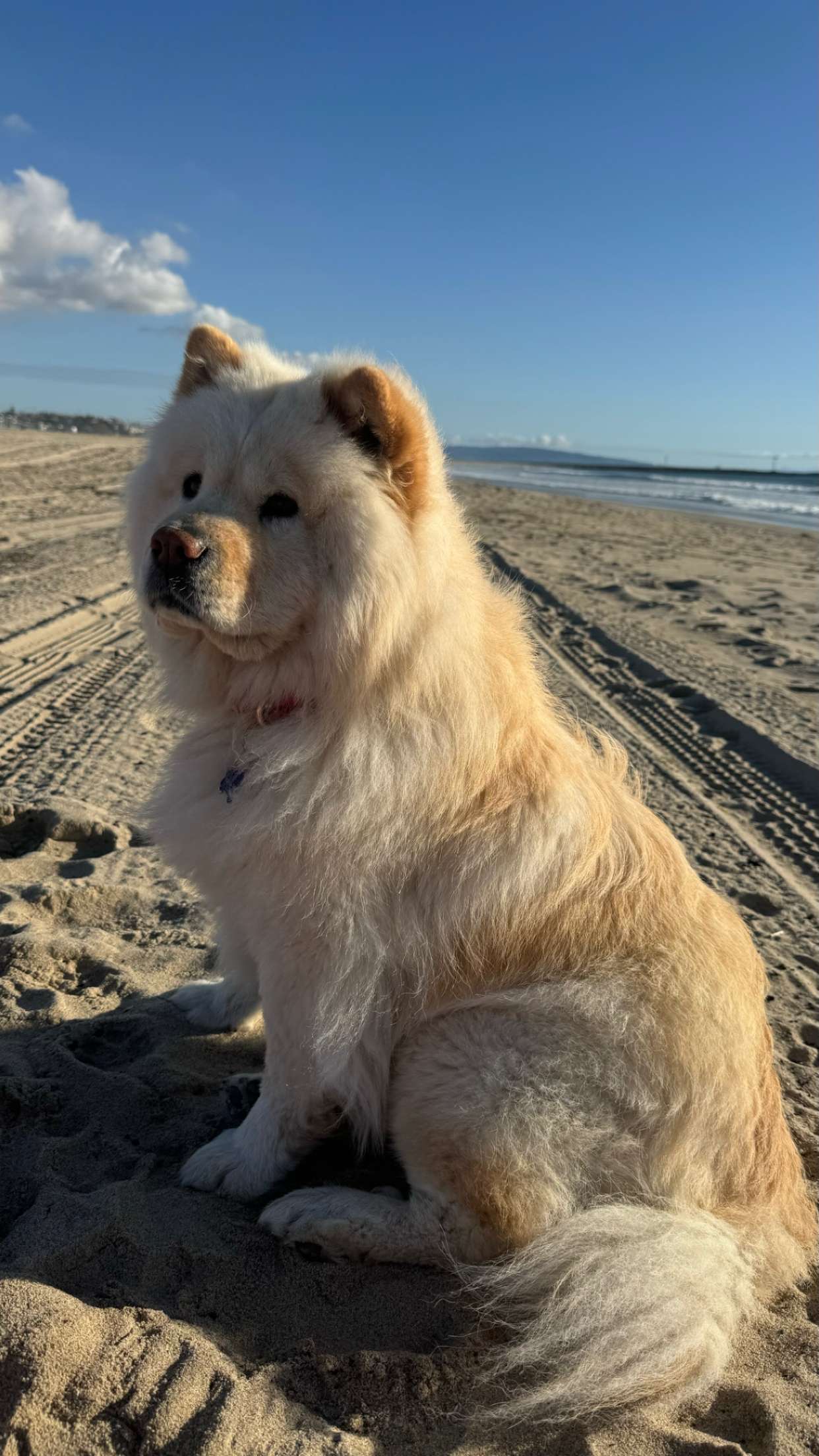 chloerosenbaum snapchat image archive image