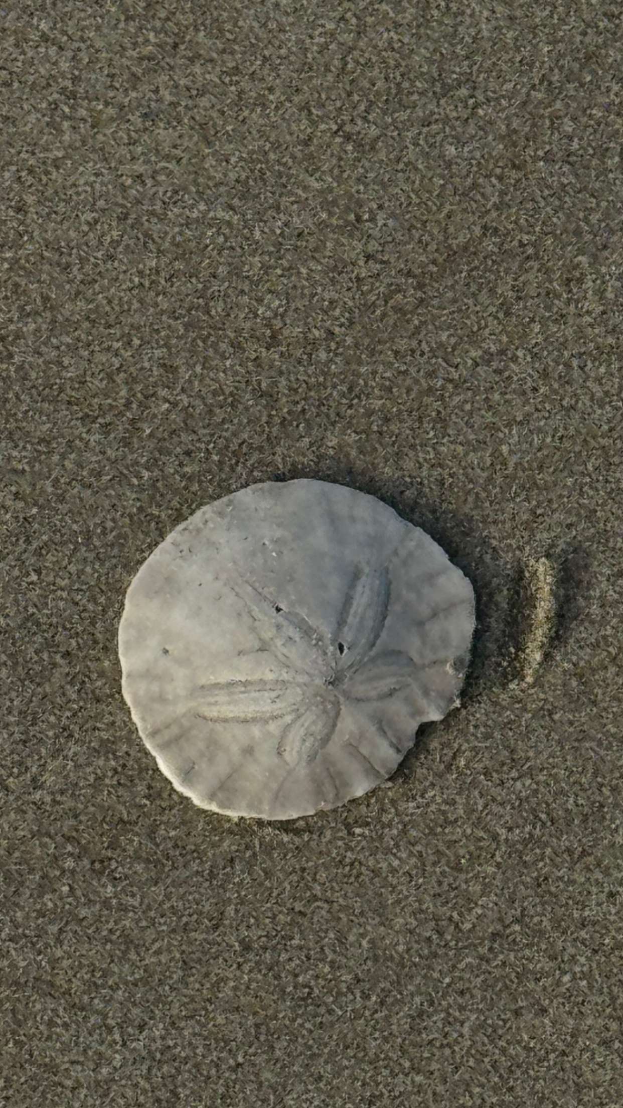 chloerosenbaum snapchat image archive image