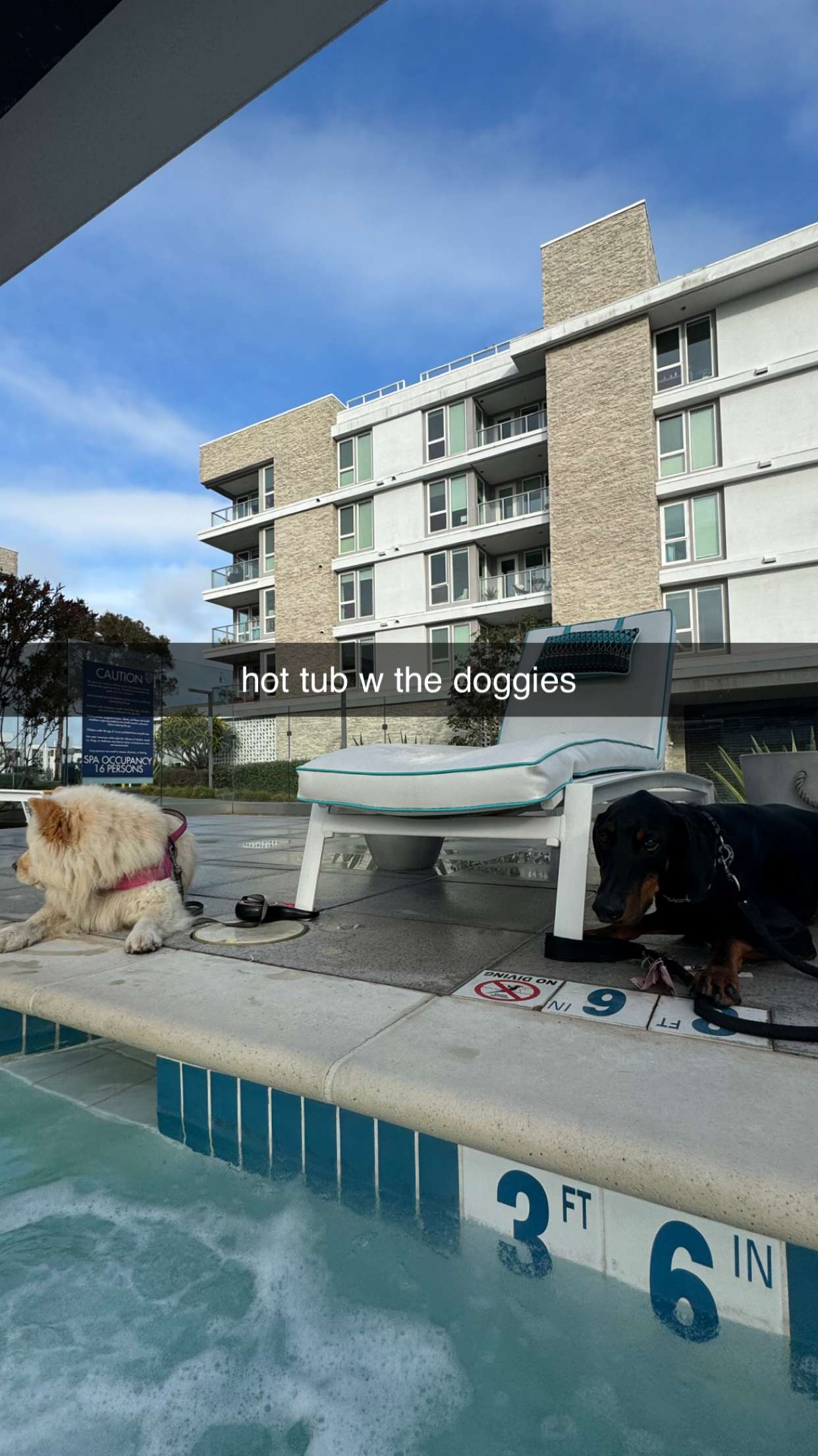 chloerosenbaum snapchat image archive image