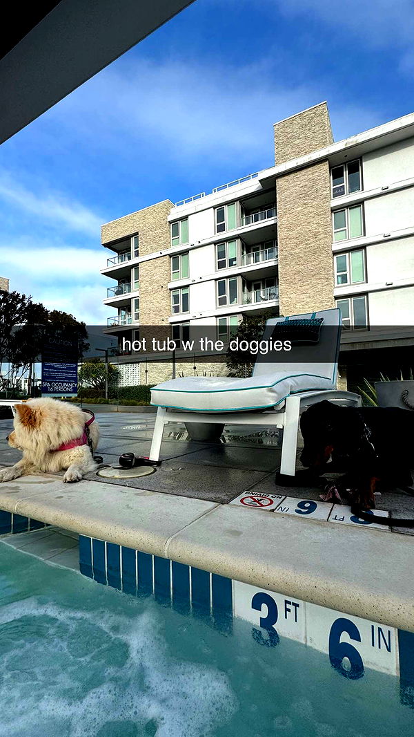 chloerosenbaum image ~ Altpins