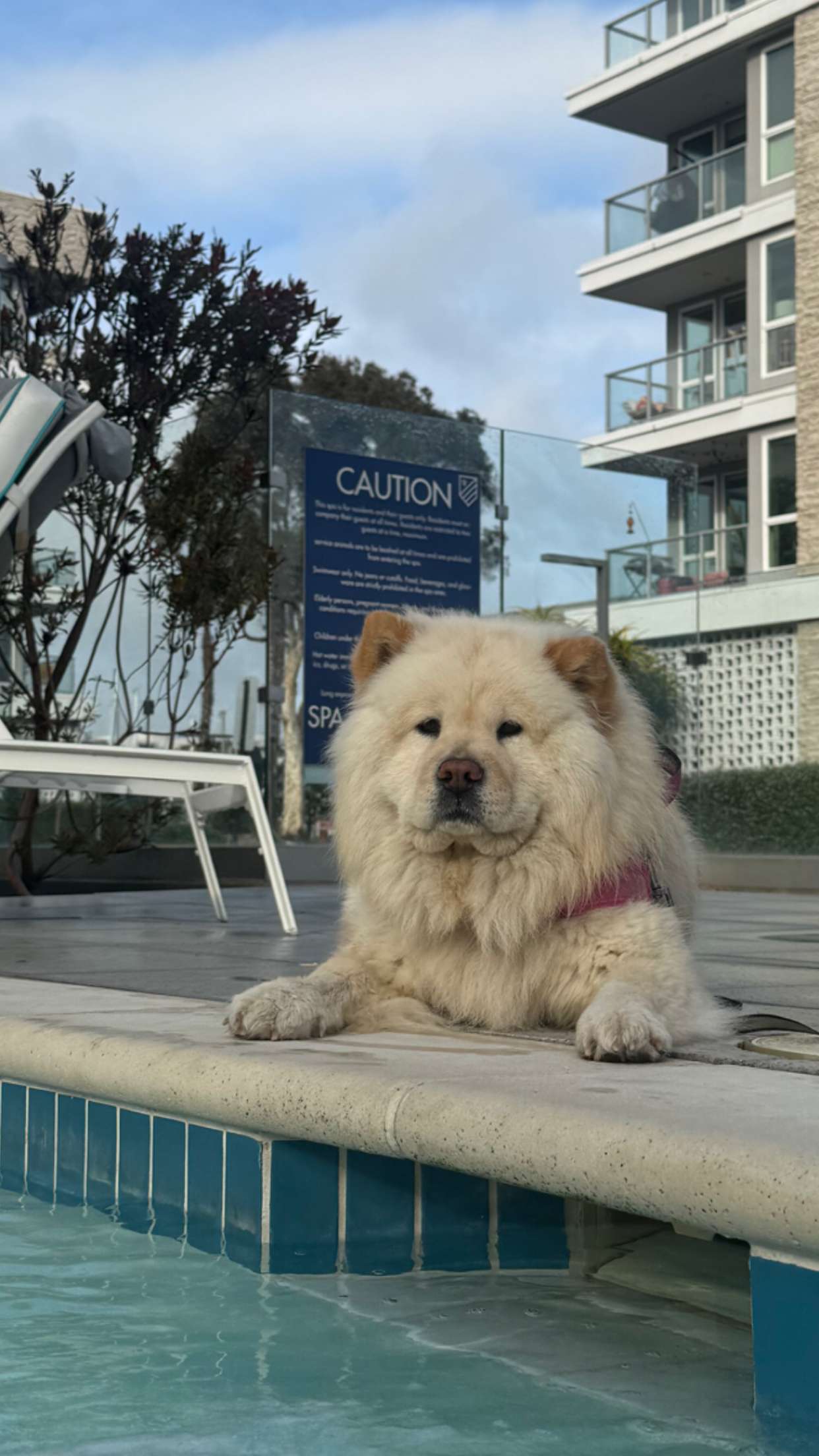 chloerosenbaum snapchat image archive image