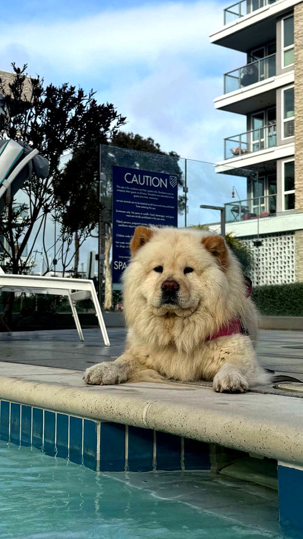 chloerosenbaum image ~ Altpins