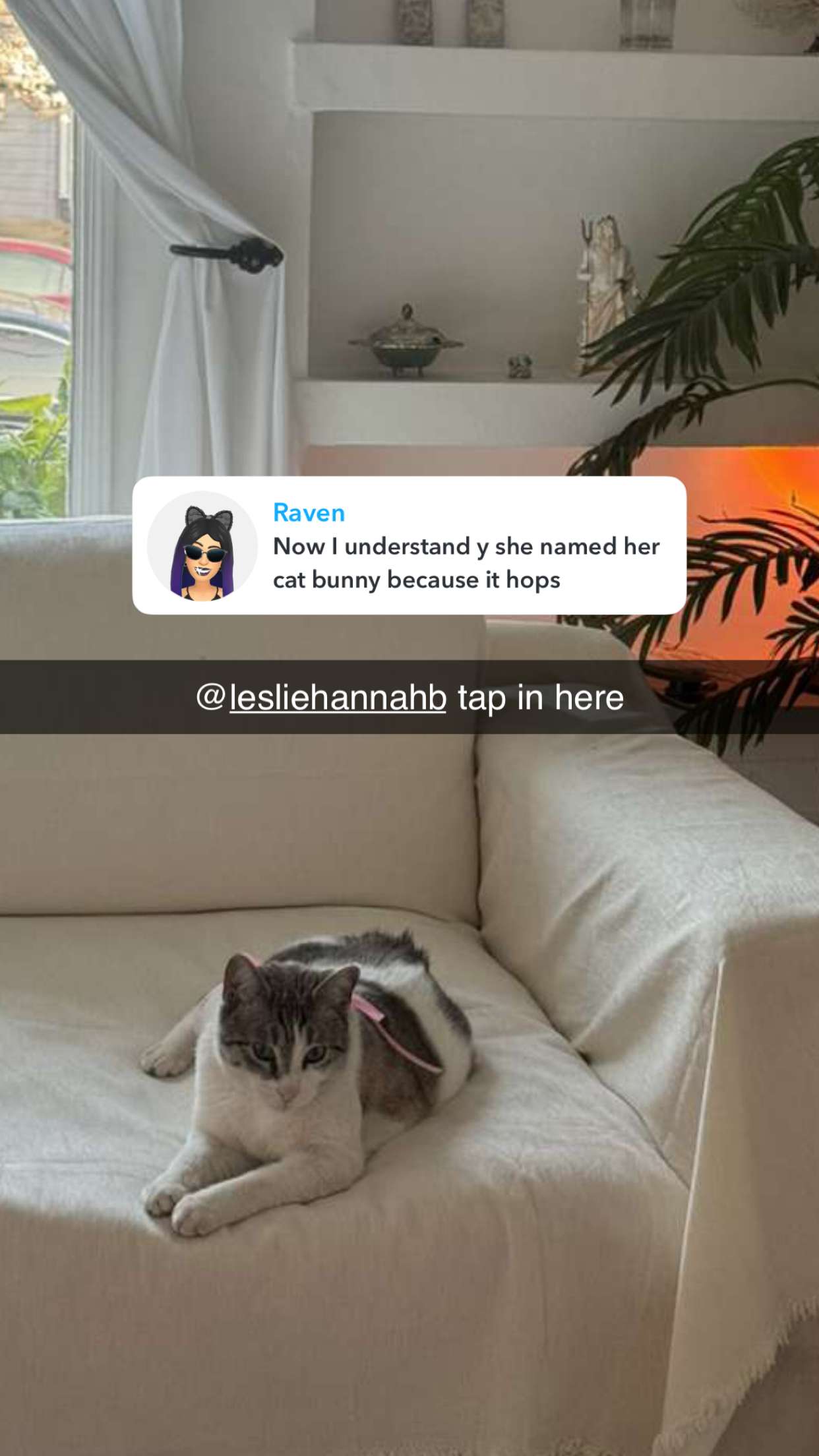 chloerosenbaum snapchat image archive image