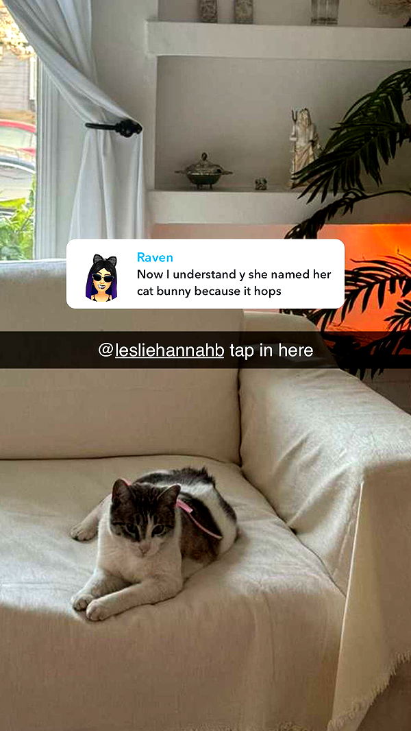 chloerosenbaum image ~ Altpins