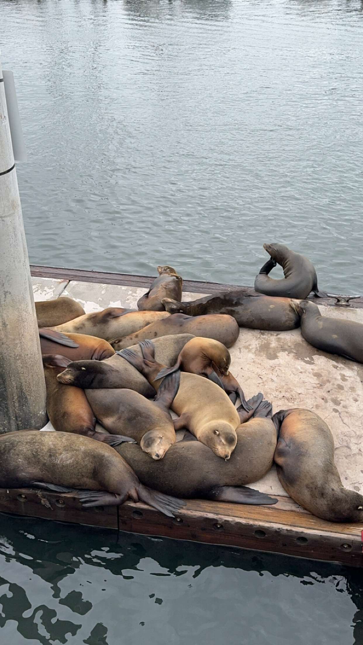 chloerosenbaum snapchat image archive image