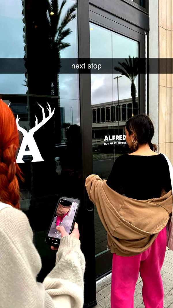 chloerosenbaum image ~ Altpins