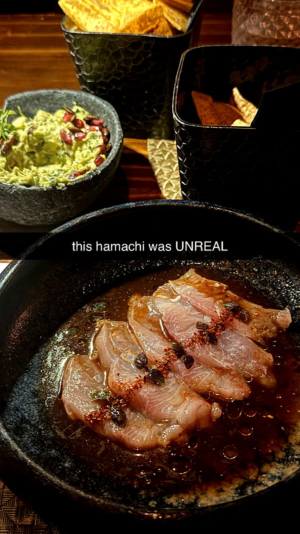 chloerosenbaum image ~ Altpins