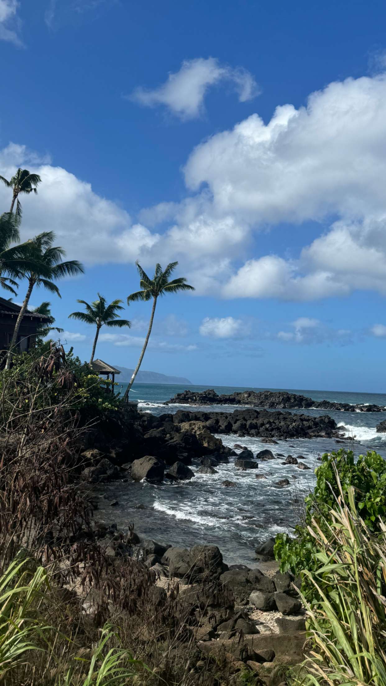 chloerosenbaum snapchat image archive image