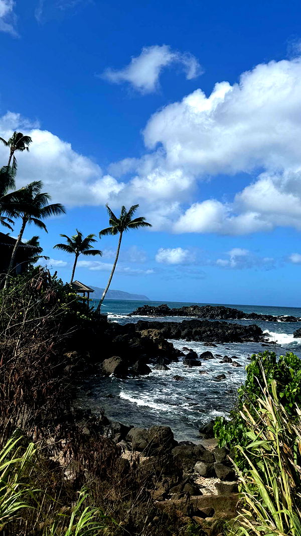 chloerosenbaum image ~ Altpins