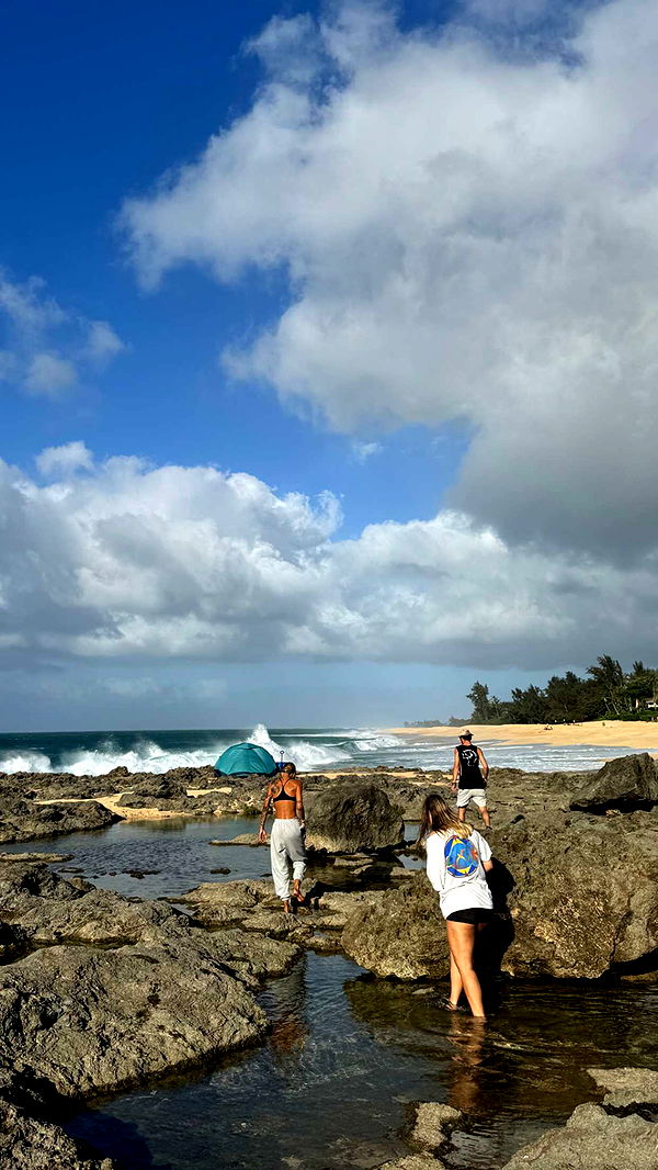 chloerosenbaum image ~ Altpins