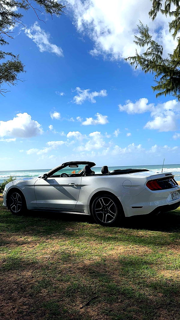 chloerosenbaum image ~ Altpins