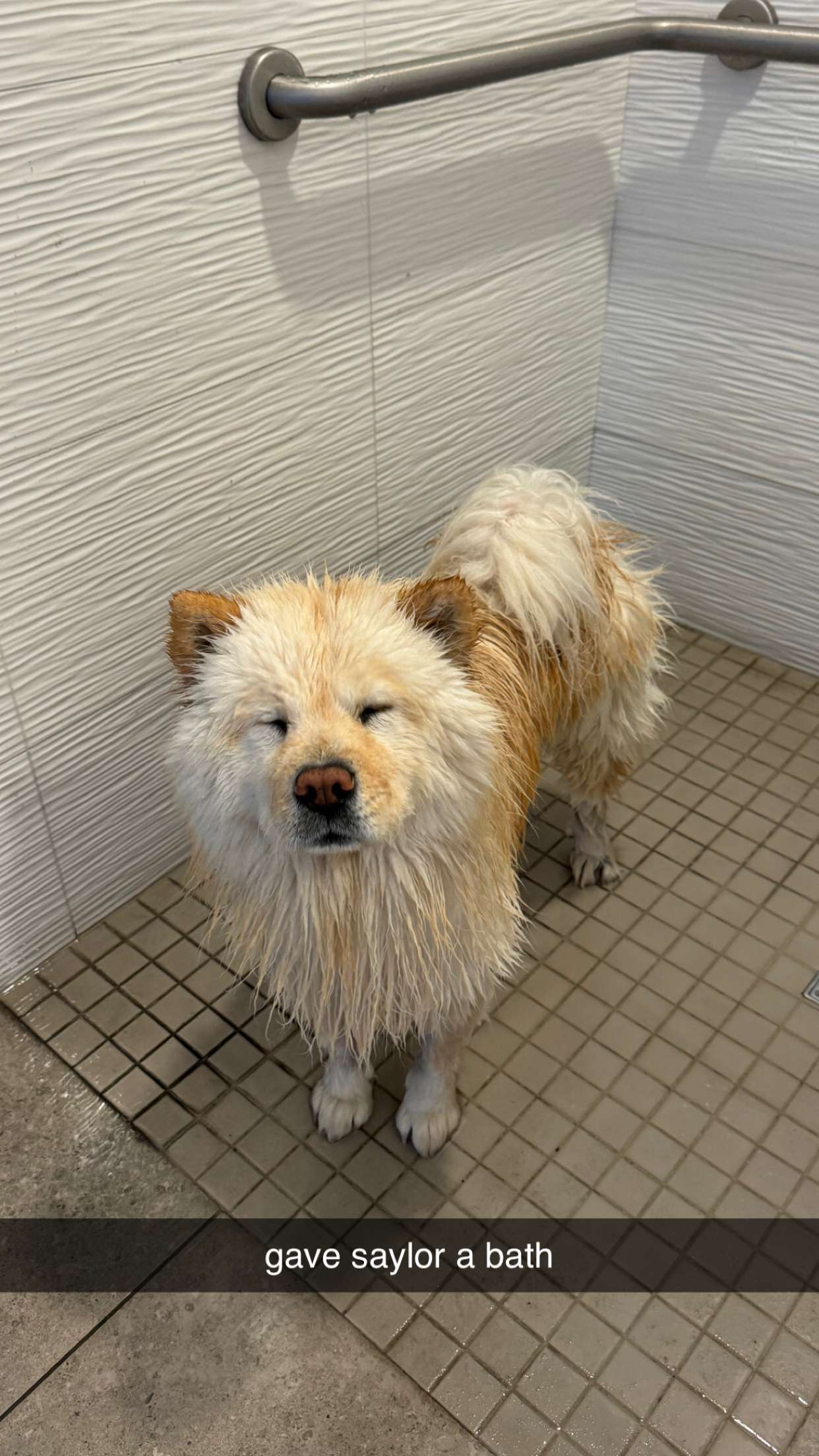 chloerosenbaum snapchat image archive image