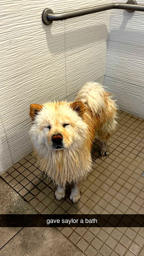 chloerosenbaum image ~ Altpins