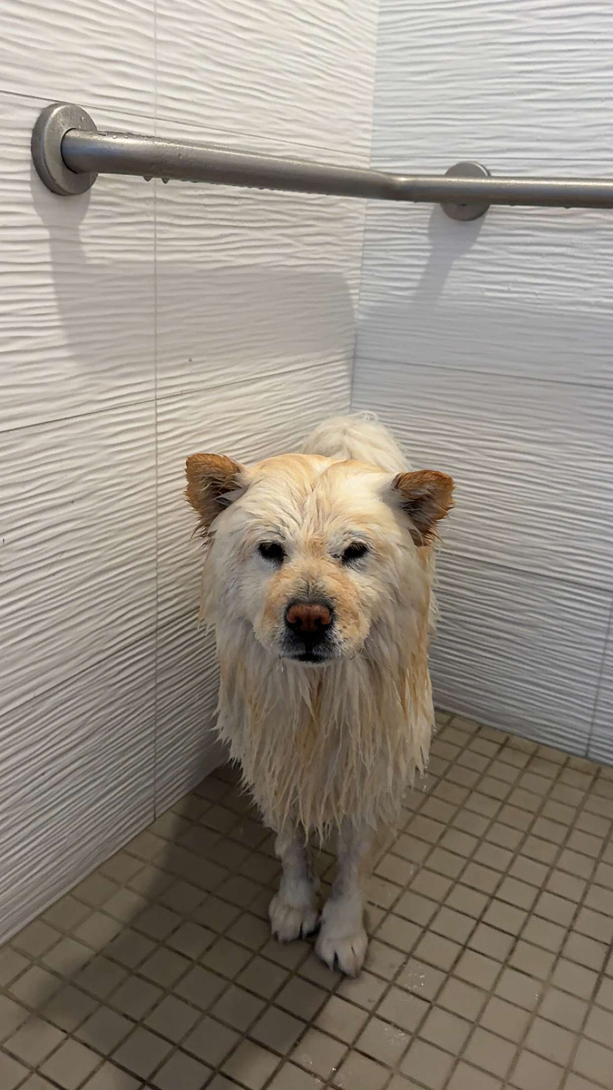 chloerosenbaum snapchat image archive image