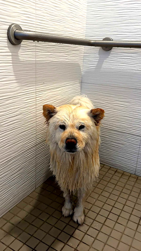 chloerosenbaum image ~ Altpins