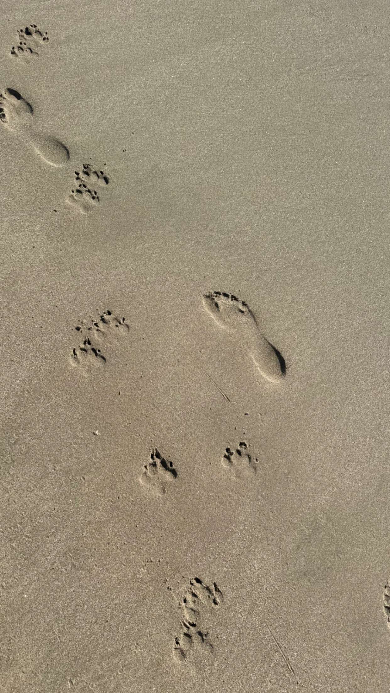 chloerosenbaum snapchat image archive image