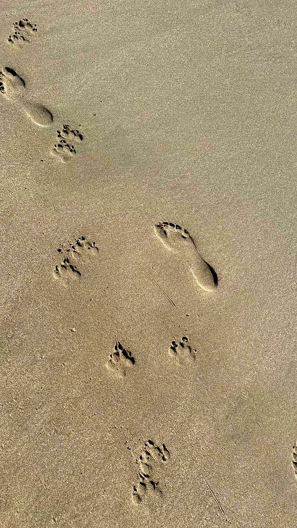 chloerosenbaum image ~ Altpins