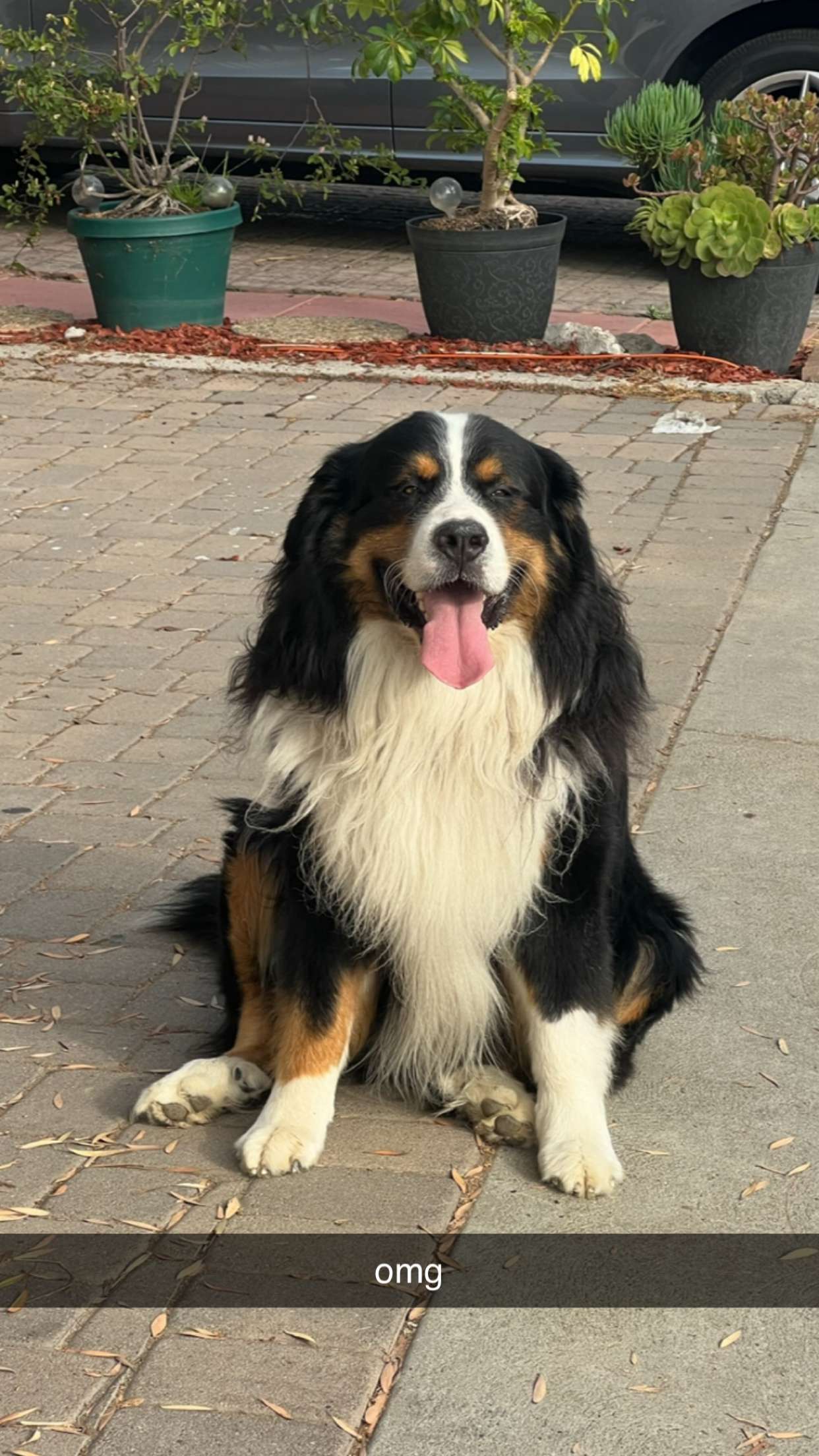 chloerosenbaum snapchat image archive image