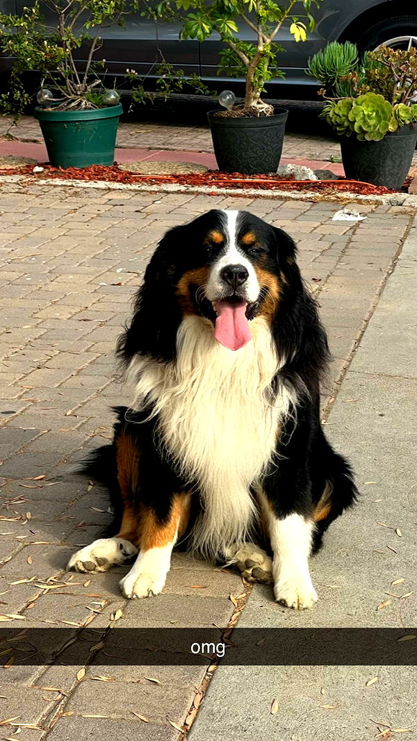 chloerosenbaum image ~ Altpins