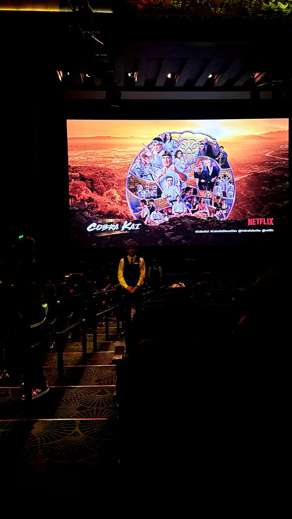 chloerosenbaum image ~ Altpins