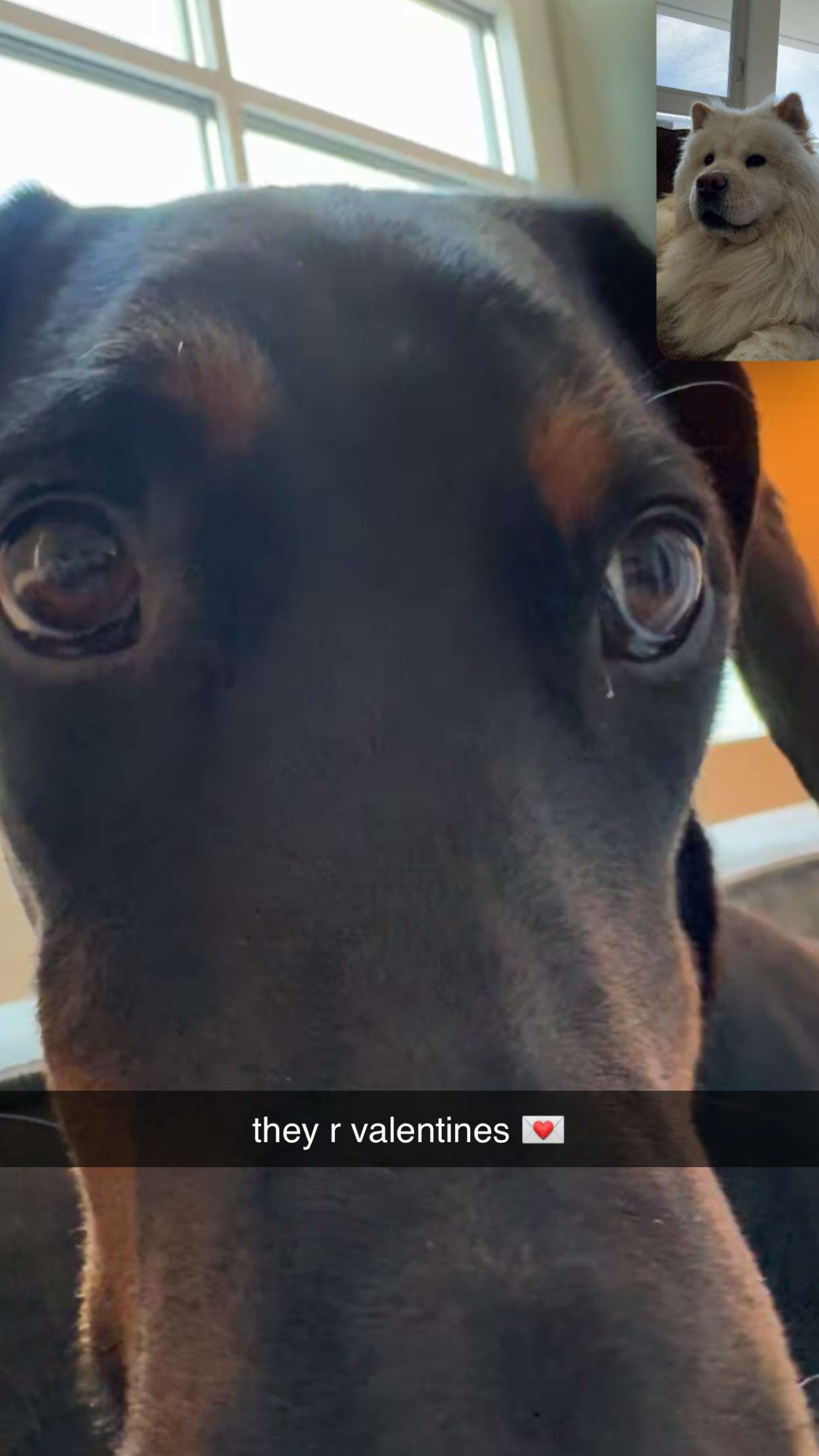 chloerosenbaum snapchat image archive image