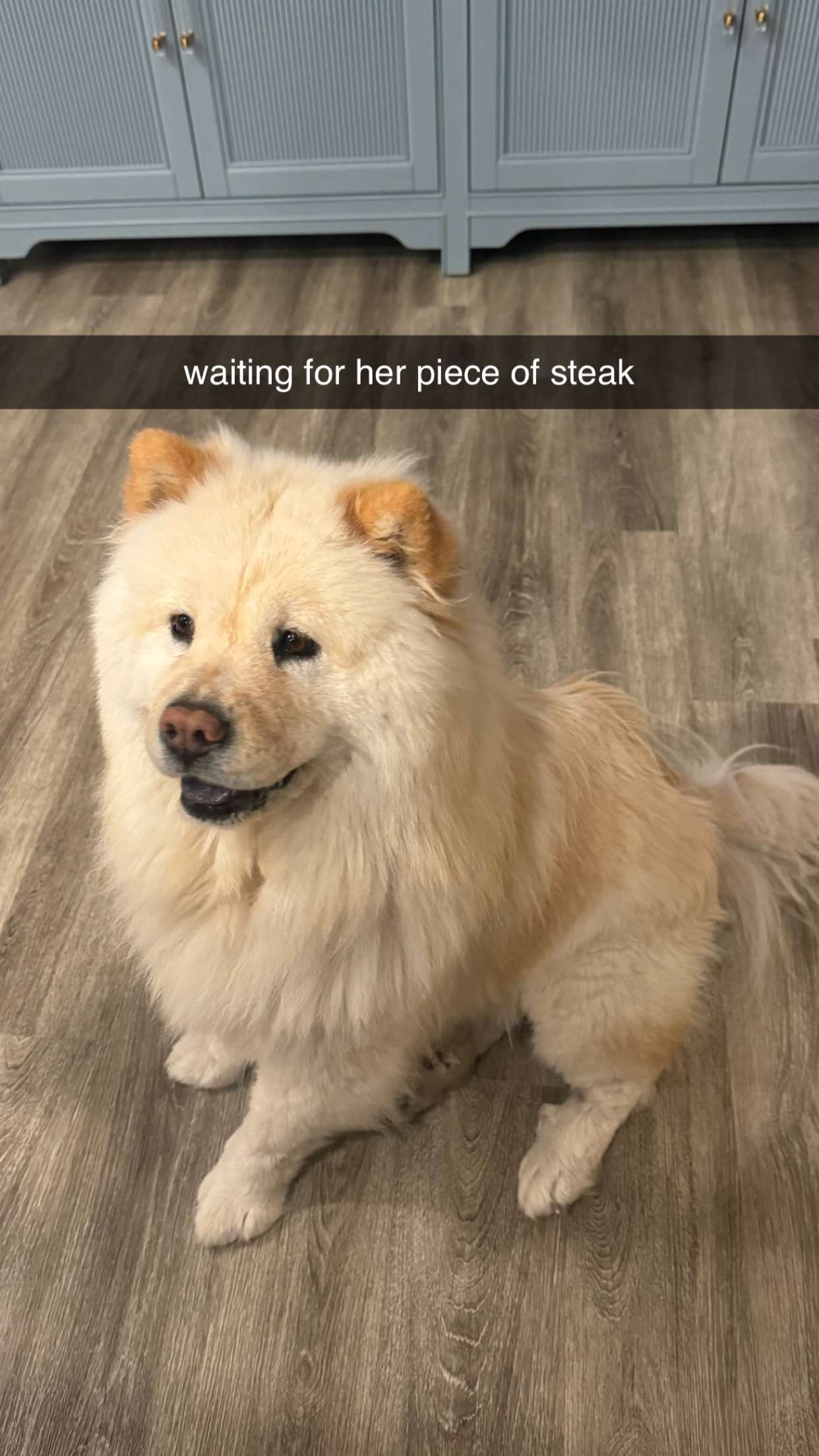 chloerosenbaum snapchat image archive image