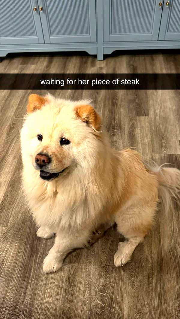 chloerosenbaum image ~ Altpins