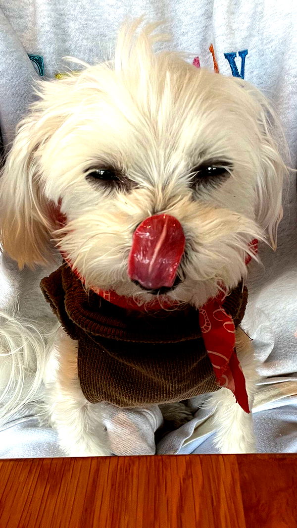 chloerosenbaum image ~ Altpins