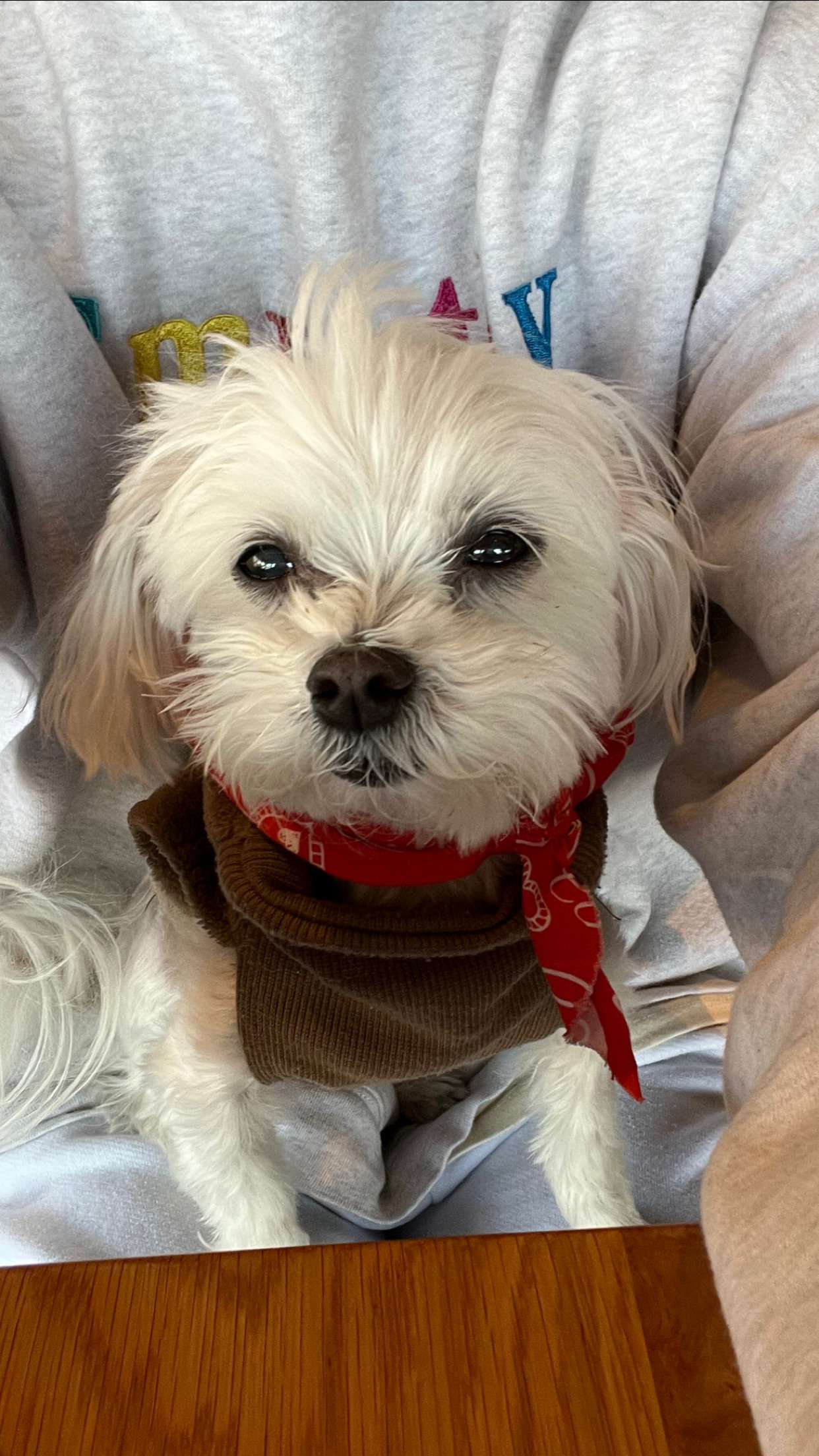 chloerosenbaum snapchat image archive image