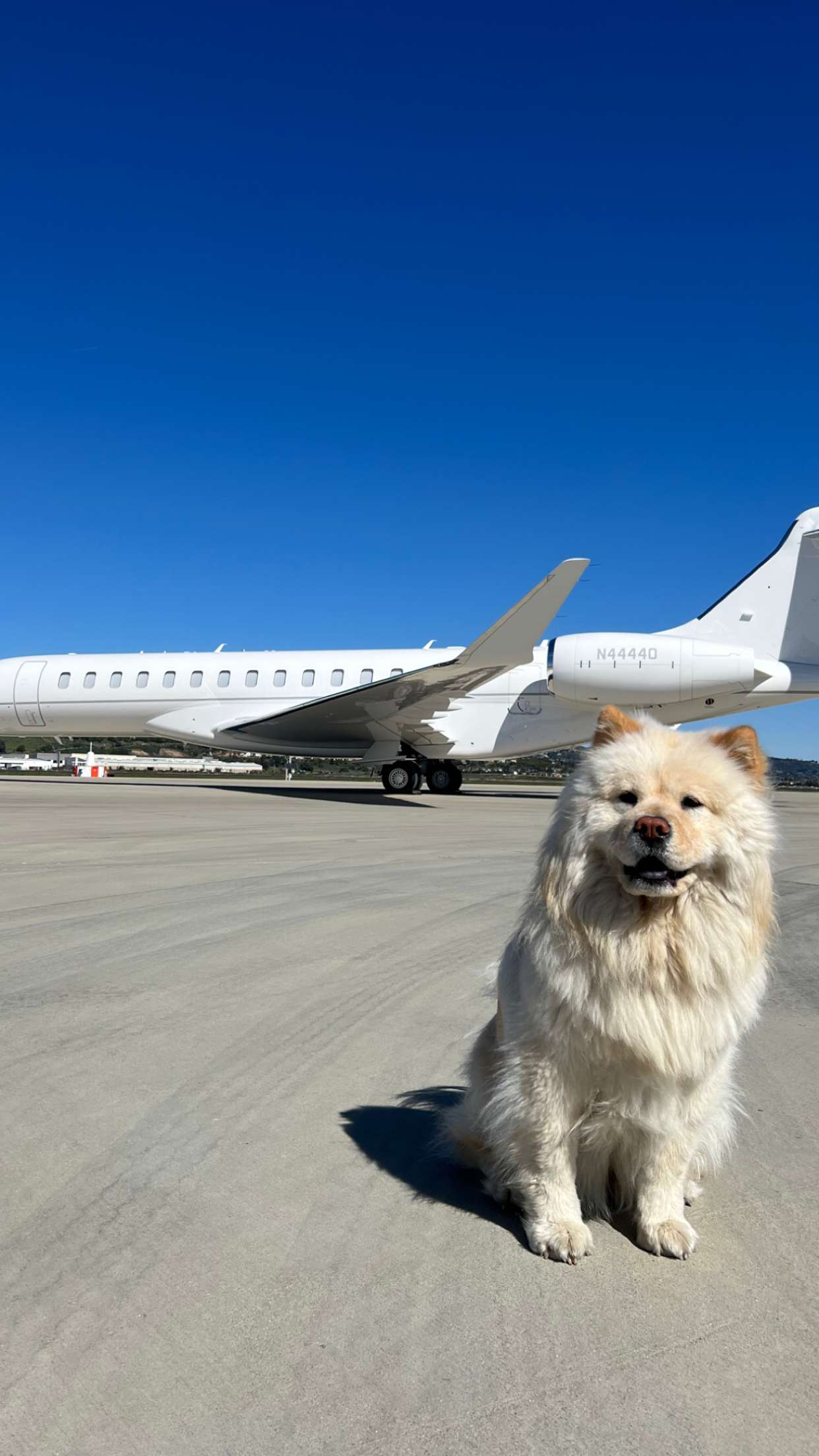 chloerosenbaum snapchat image archive image