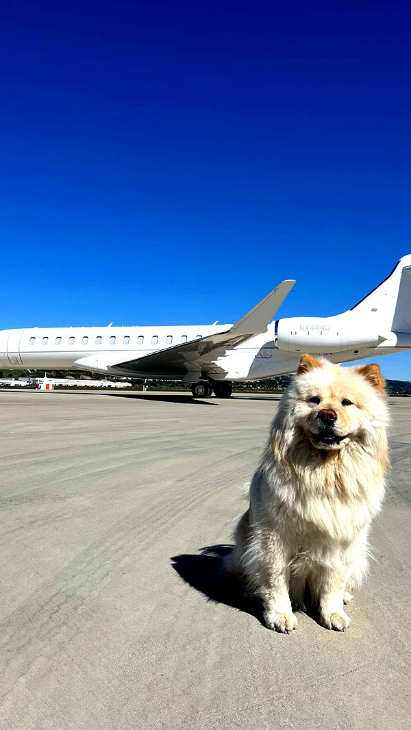 chloerosenbaum image ~ Altpins