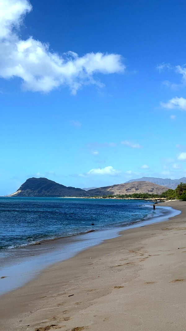 chloerosenbaum image ~ Altpins