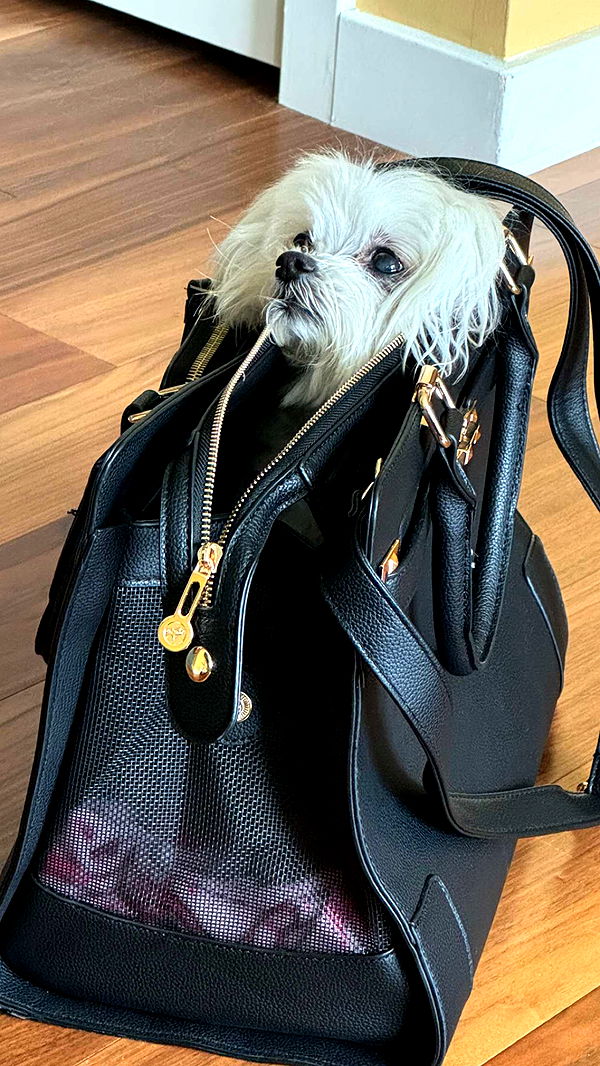 chloerosenbaum image ~ Altpins